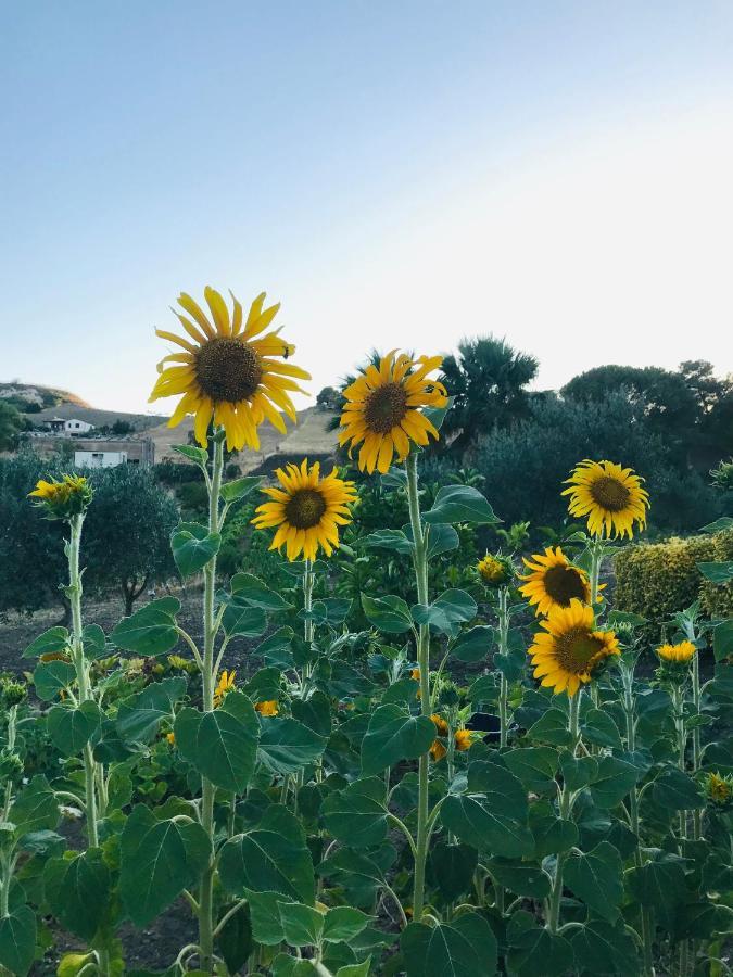 Santa Ninfa Villa Lada מראה חיצוני תמונה